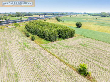 Działka Sprzedaż Holendry Baranowskie